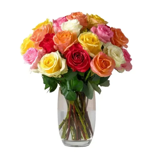Roses